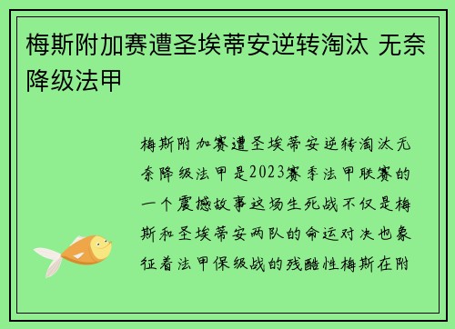 梅斯附加赛遭圣埃蒂安逆转淘汰 无奈降级法甲